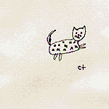 starry cat - starry cat
